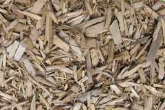 biomass boilers Kitts Moss